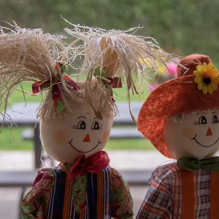 Дом отдыха Groepsaccommodatie In De Bedstee Sprookje Винтерсвейк