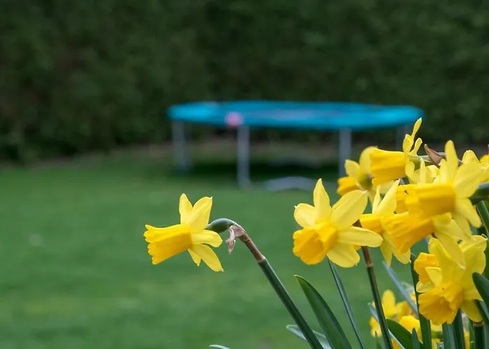 Groepsaccommodatie In De Bedstee Sprookje *