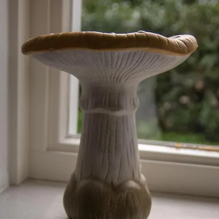 Groepsaccommodatie In De Bedstee Sprookje * Winterswijk