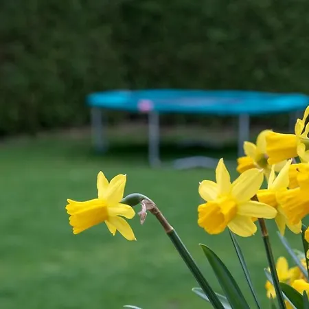 Groepsaccommodatie In De Bedstee Sprookje *